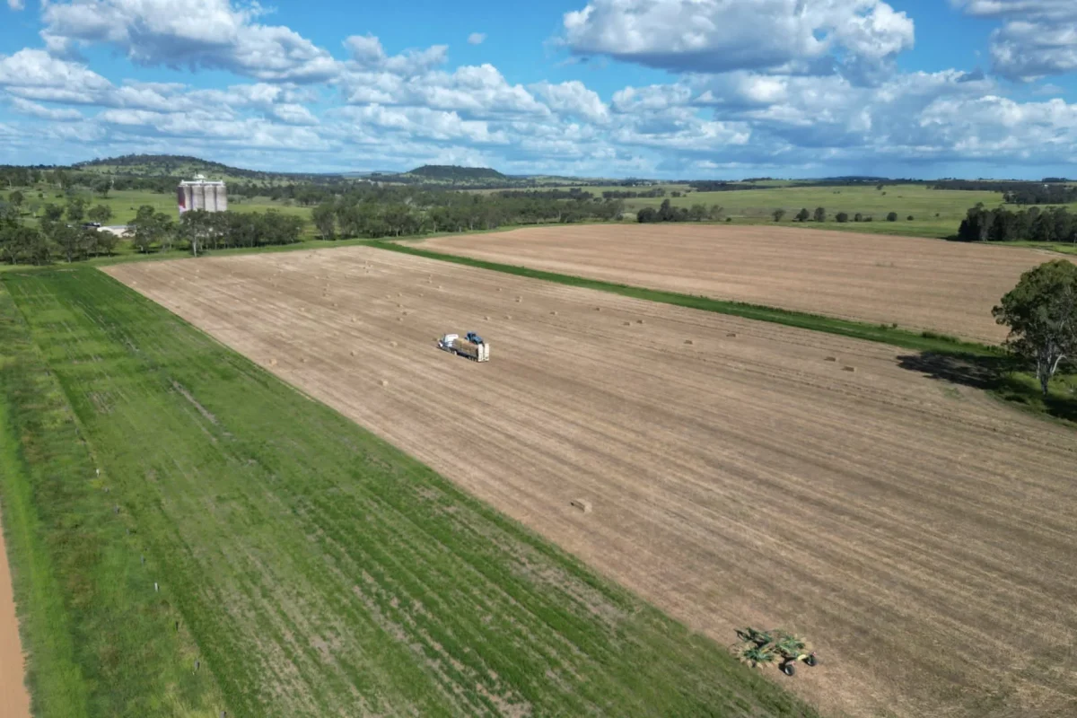 Monto Farming Country - Peter Williams 9 February 2024 aswq