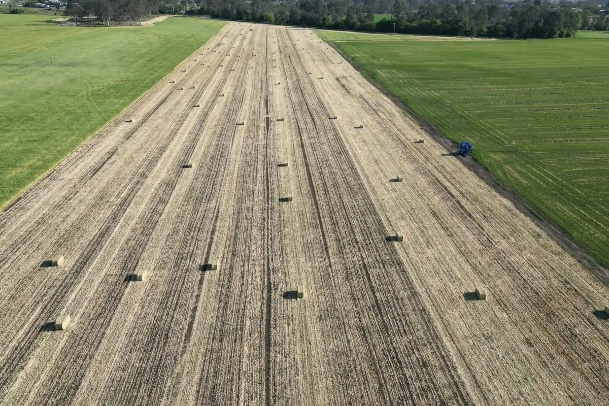 Monto Harvest - Greg Williams 15 September 2024 aasd